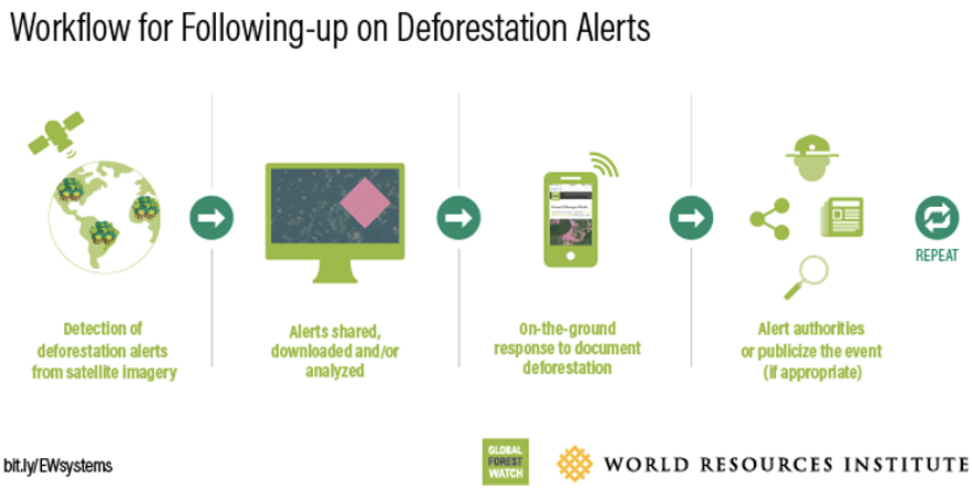 Global Forest Watch on X: 